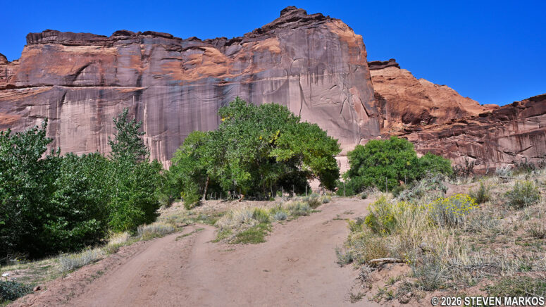 Split of the dirt road and pedestrian path portion of the White House Trail on the way to the White House ruins at Canyon de Chelly National Monument