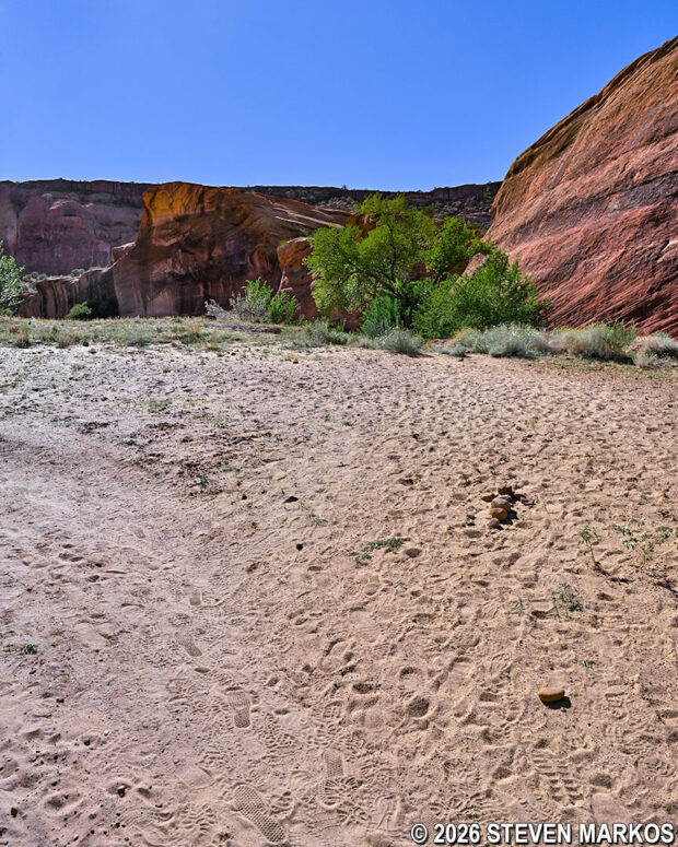 Path of the White House Trail splits off to the right from the dirt road at Canyon de Chelly National Monument