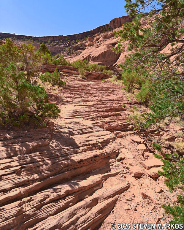 Horizontal layers of sandstone on the White House Trail at Canyon de Chelly National Monument