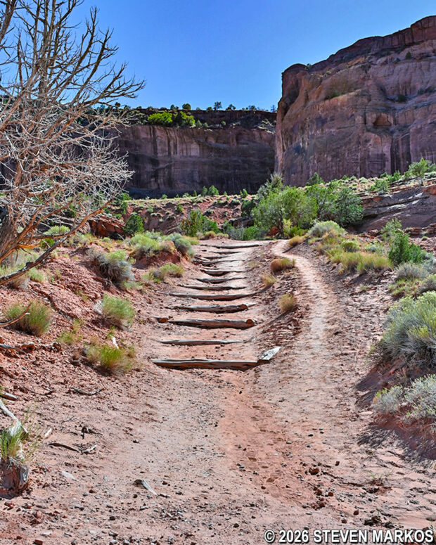 Steps on the path leading up to the lower switchbacks on the White House Trail at Canyon de Chelly National Monument