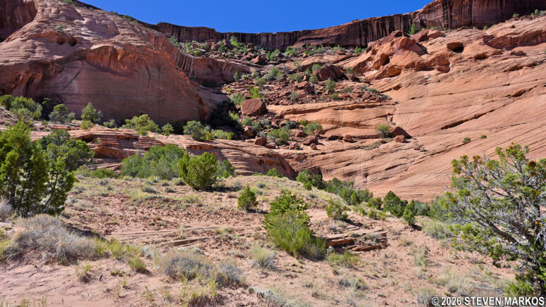 View of the switchbacks up the canyon wall on the White House Trail at Canyon de Chelly National Monument
