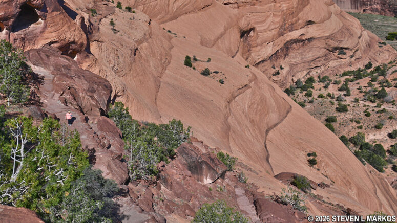 View of a hiker on the steps of the straight leg between the fourth and fifth switchbacks on the White House Trail at Canyon de Chelly National Monument