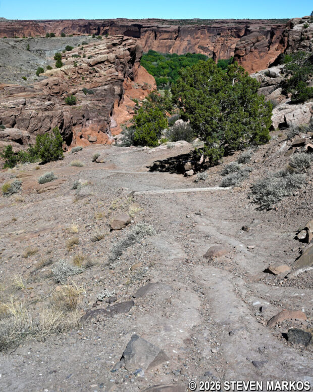 Path leading to the Tunnel Overlook platform on the South Rim Drive, Canyon de Chelly National Monument