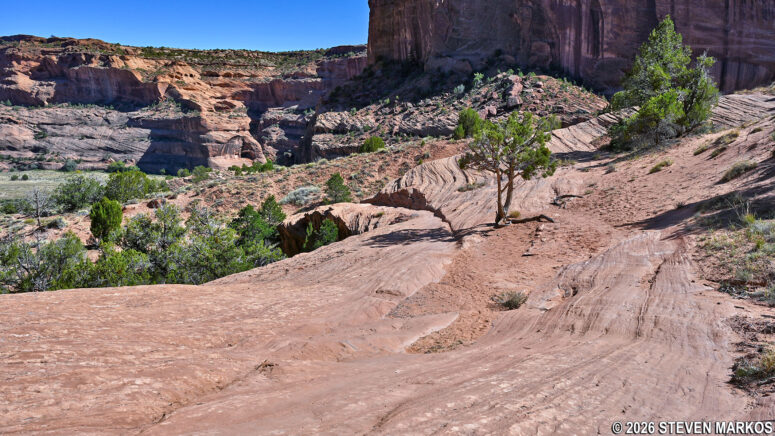 White House Trail after the switchbacks runs along a ledge, Canyon de Chelly National Monument