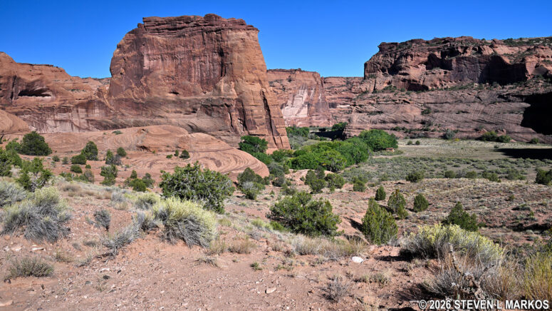 View of Canyon de Chelly from near the bottom of the White House Trail, Canyon de Chelly National Monument
