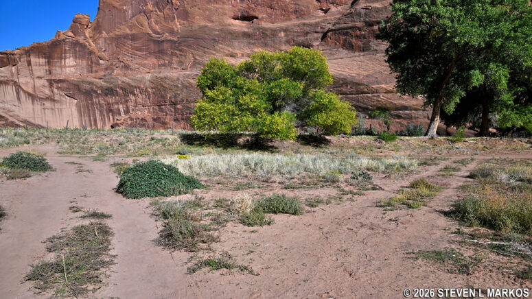 Second intersection of the White House Trail and a dirt road at the bottom of Canyon de Chelly.