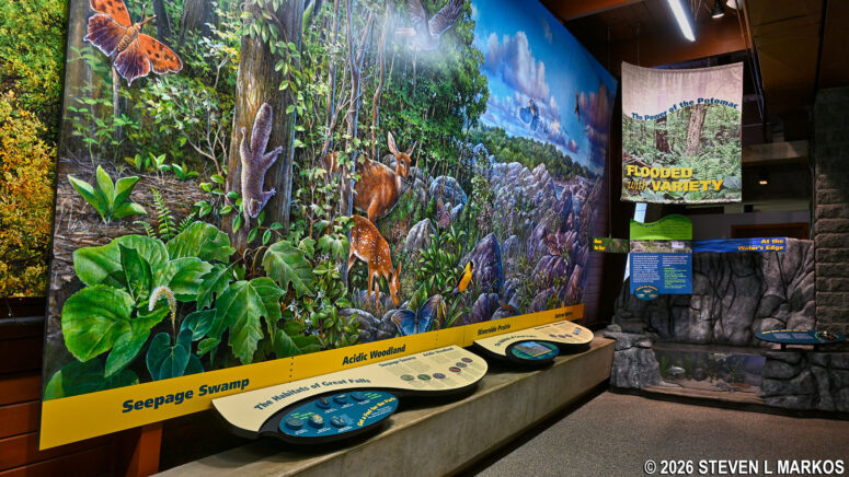 Exhibit on the ecosystems at Great Falls Park inside the Visitor Center