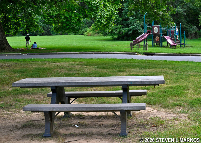 Picnic tables and playground equipment in Greenbelt Park's Sweetgum Picnic Area