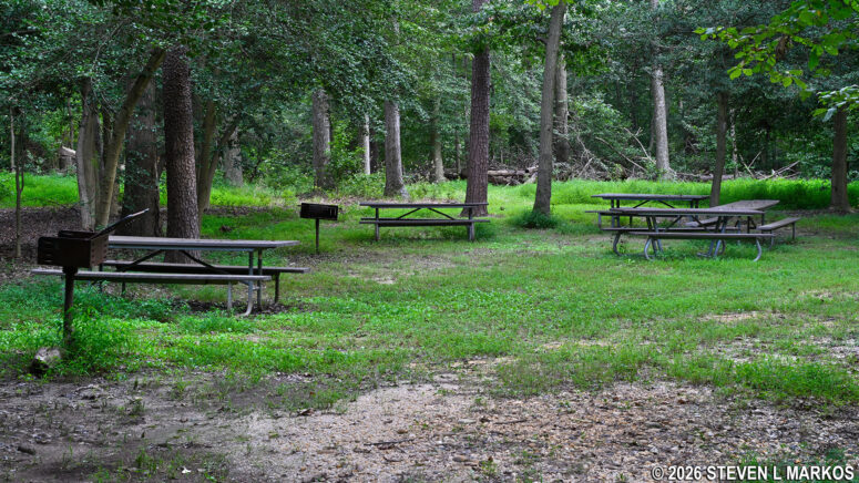 Secluded area of tables at the Holly Picnic Area in Greenbelt Park