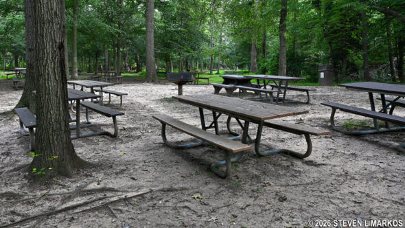 Holly Picnic Area in Greenbelt Park