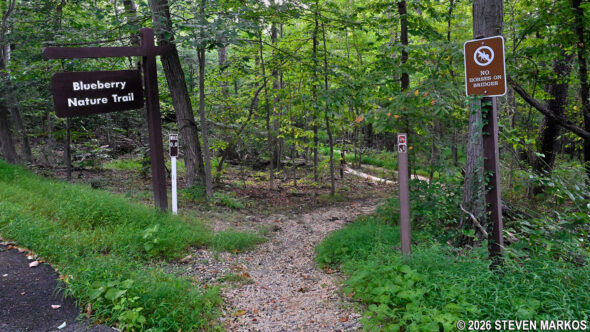 Start of the Blueberry Nature Trail in Greenbelt Park