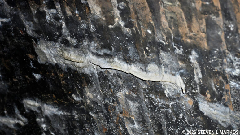 Stalactite formations on the ceiling of the Paw Paw Tunnel, Chesapeake and Ohio Canal National Historical Park