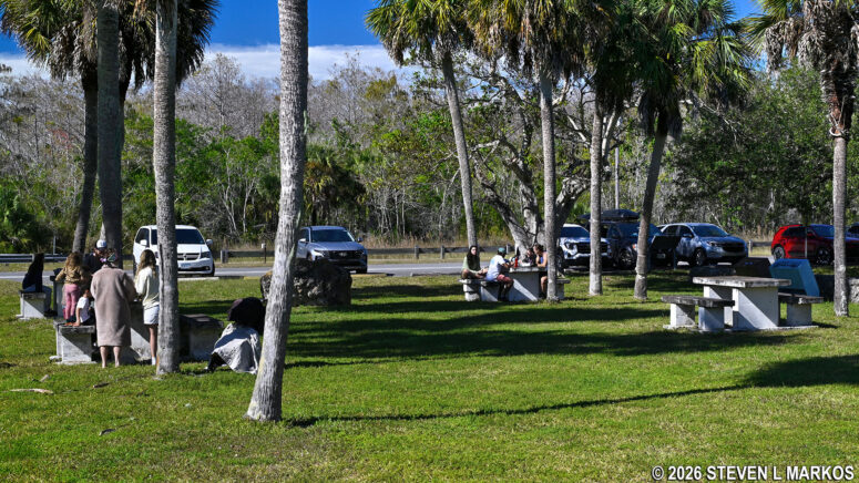 H. P. Williams Roadside Park picnic area at Big Cypress National Preserve