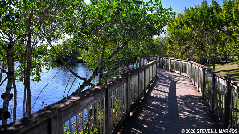 Wildlife viewing from the boardwalk behind the Nathaniel P. Reed Visitor Center at Big Cypress National Preserve