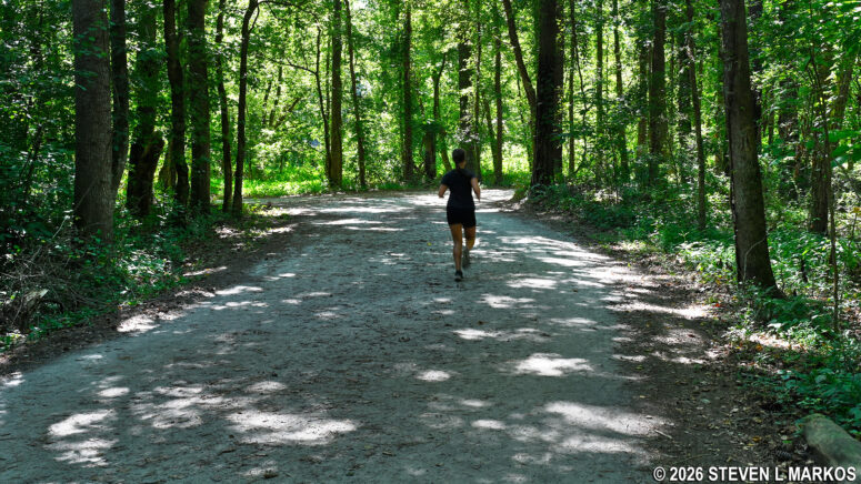 Typical terrain of the Fitness Trail in the Columns Drive section of Chattahoochee River National Recreation Area