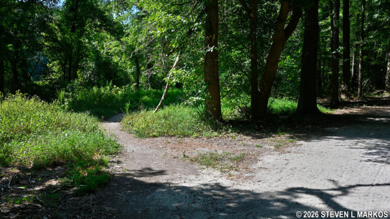 Traditional hiking trail branches off from the gravel Fitness Trail in the Columns Drive section of Chattahoochee River National Recreation Area