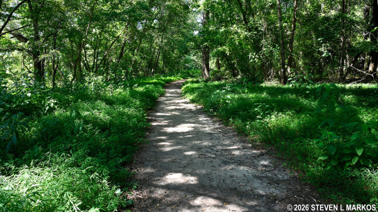 Traditional hiking trail runs parallel to the Fitness Trail in the Columns Drive section of Chattahoochee River National Recreation Area