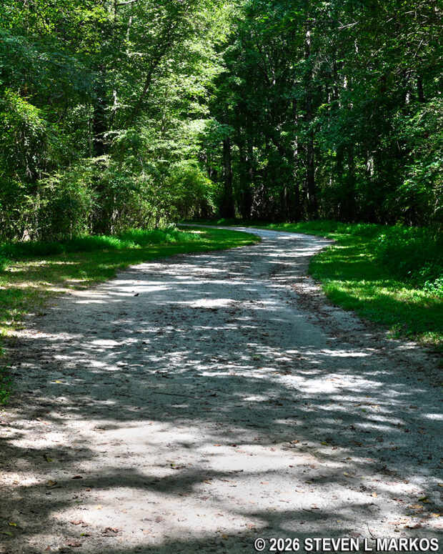 Typical terrain between intersections CS 19 and CS 17 in the Columns Drive section of Chattahoochee River National Recreation Area