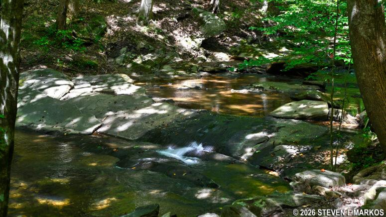 View of Terrell Mill Creek on the CS 17- to- CS 15 segment of the Columns Drive Loop Hike in the Cochran Shoals unit of Chattahoochee River National Recreation Area