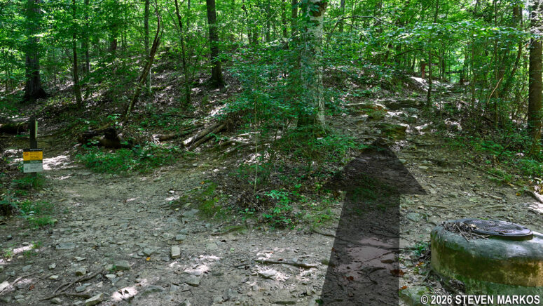 Hikers Only trail at intersection CS 15 on the Columns Drive Loop Hike in the Cochran Shoals unit of Chattahoochee River National Recreation Area