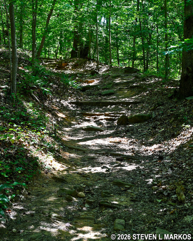 Typical terrain on the hilly section between intersections CS 15 and CS 14 on the Columns Drive Loop Hike in the Cochran Shoals unit of Chattahoochee River National Recreation Area
