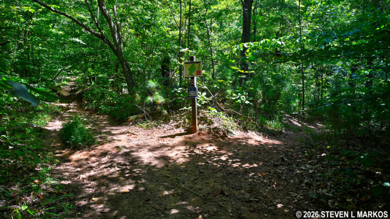 Intersection CS 14 on the Columns Drive Loop Hike in the Cochran Shoals unit of Chattahoochee River National Recreation Area