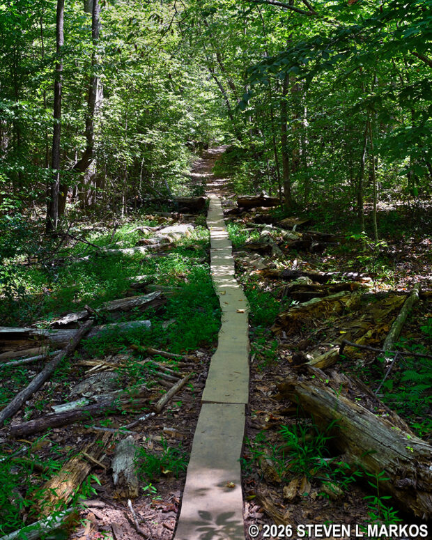Boardwalk segment between intersections CS 14 and CS 8 on the Columns Drive Loop Hike in the Cochran Shoals unit of Chattahoochee River National Recreation Area
