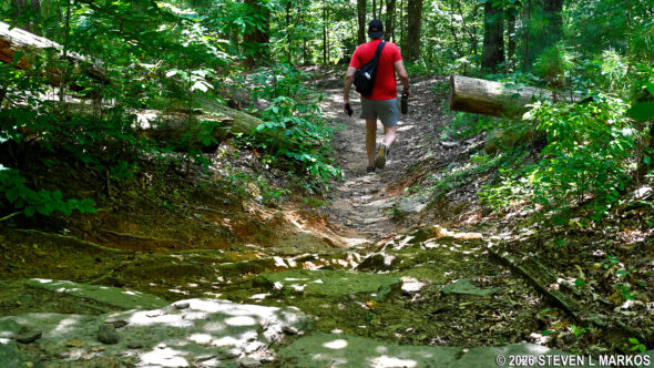 Hiker on the trails in the Columns Drive section of Chattahoochee River National Recreation Area