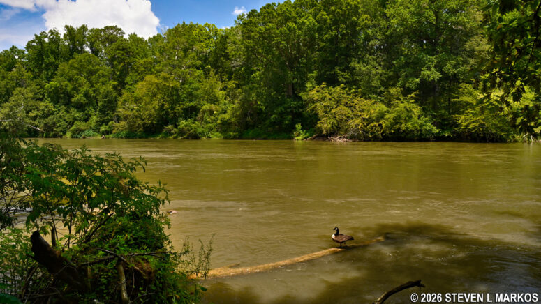 View of the Chattahoochee River from the Cochran Shoals Fitness Trail, Chattahoochee River National Recreation Area
