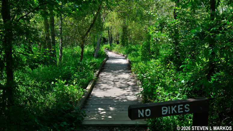 Boardwalk between intersections CS 21 and CS 22 on the Interstate North Loop Hike in Chattahoochee River National Recreation Area