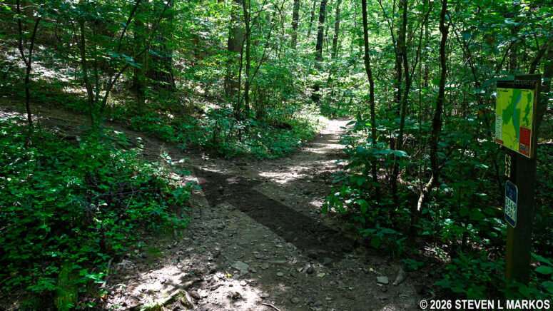 Left turn at intersection CS 23 on the Interstate North Loop Hike in Chattahoochee River National Recreation Area