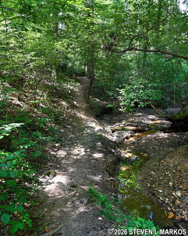 Creek at the bottom of a ravine between intersections CS 26 and CS 27 on the Interstate North Loop Hike in Chattahoochee River National Recreation Area