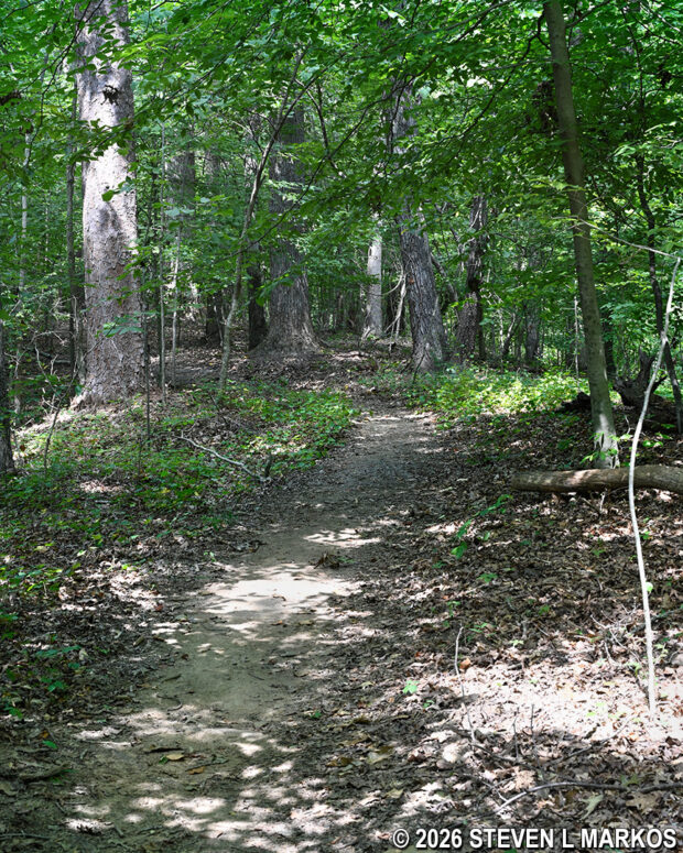 Typical terrain between intersections CS 30 and CS 28 on the Interstate North Loop Hike at Chattahoochee River National Recreation Area