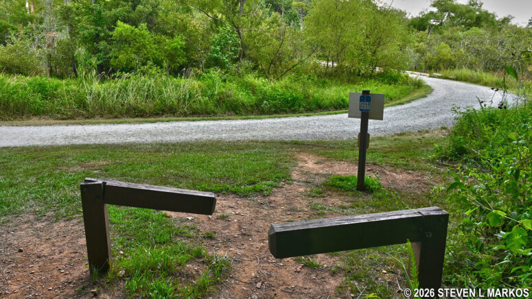 Intersection CS 18 at the Fitness Trail in the Interstate North section of Chattahoochee River National Recreation Area