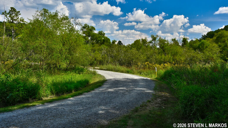 Cochran Shoals Fitness Trail near intersection CS 18 in the Interstate North section of Chattahoochee River National Recreation Area