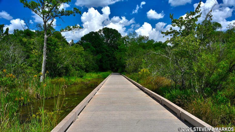 Fitness Trail passes through a swamp between intersections CS 18 and CS 20 in the Interstate North section of Chattahoochee River National Recreation Area
