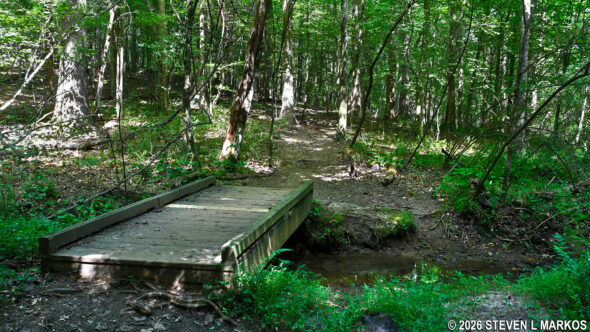 Trail in the Interstate North section of Chattahoochee River National Recreation Area