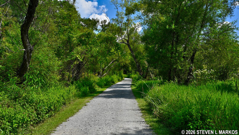 Interstate North segment of the Cochran Shoals Fitness Trail in Chattahoochee River National Recreation Area