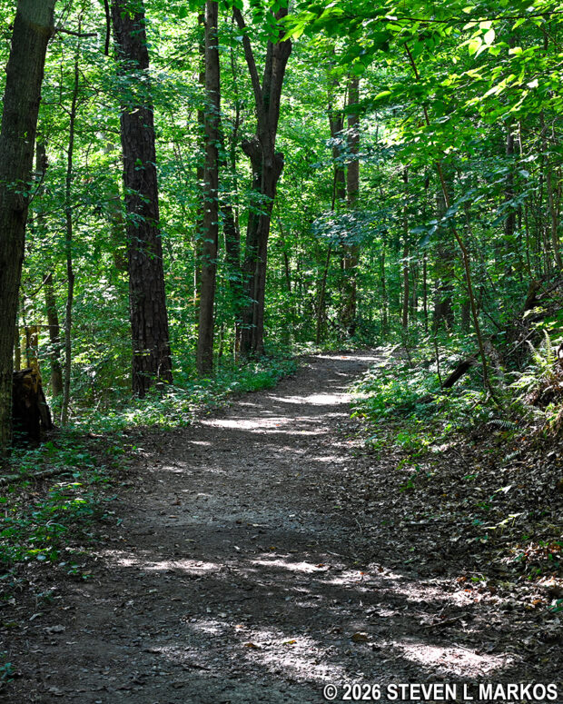 Gravel trail at the start of the loop hike in the Powers Island section of Chattahoochee River National Recreation Area