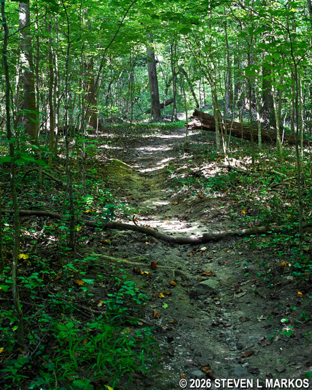 Typical terrain on the uphill hike from intersection PI 6 to PI 7 on the Powers Island trails in Chattahoochee River National Recreation Area