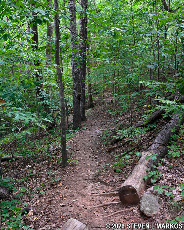 Typical terrain on the downhill hike from intersection PI 6 to PI 7 on the Powers Island trails in Chattahoochee River National Recreation Area