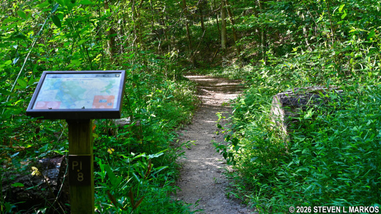 Intersection PI 8 on the Powers Island trails in Chattahoochee River National Recreation Area