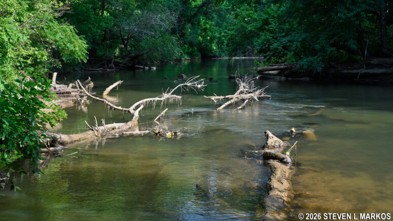 View from the hiking trail of the channel between the mainland and Powers Island, Chattahoochee River National Recreation Area