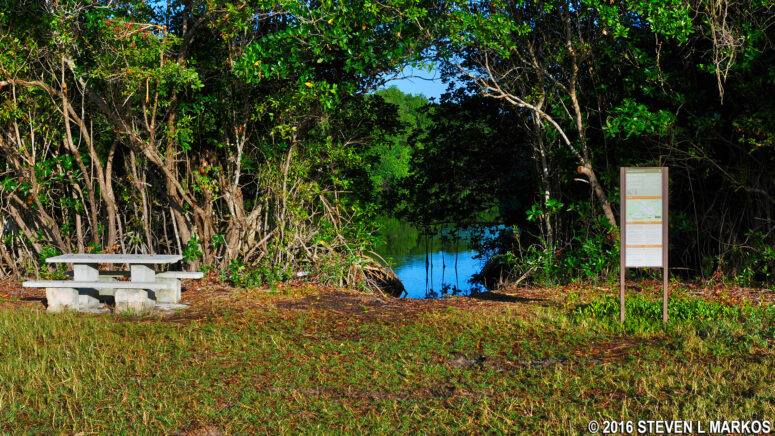 One of two canoe launches at Coot Bay Pond in Everglades National Park