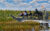 EVERGLADES NATIONAL PARK