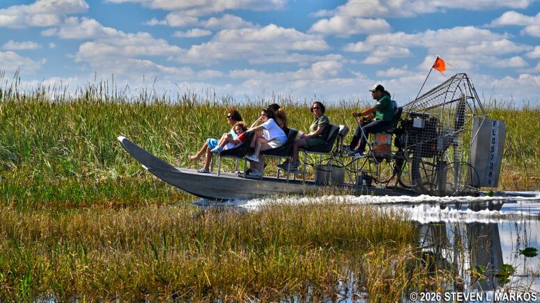 Private airboat tour in the Shark Valley unit in Everglades National Park