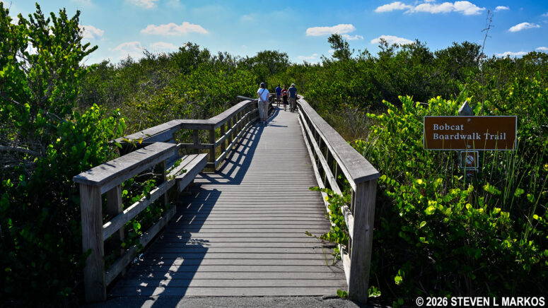 Eastside trailhead for the Bobcat Boardwalk Trail in the Shark Valley section of Everglades National Park