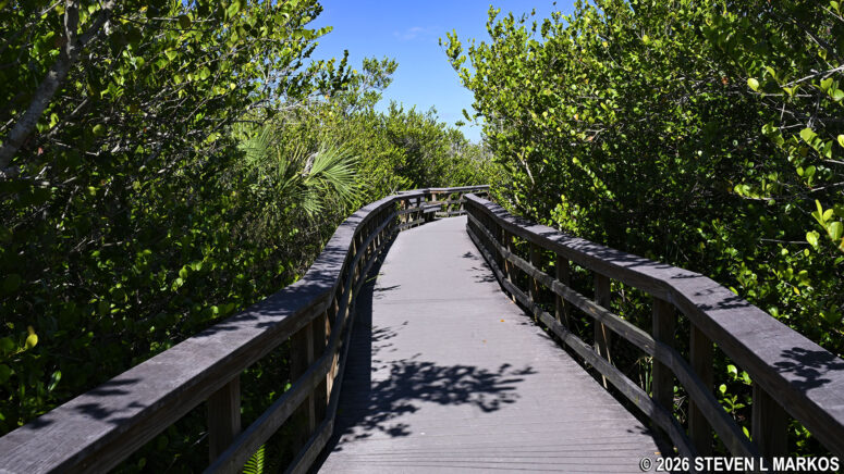 Bobcat Boardwalk Trail in the Shark Valley section of Everglades National Park