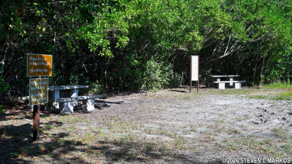 Picnic tables at Coot Bay Pond in Everglades National Park