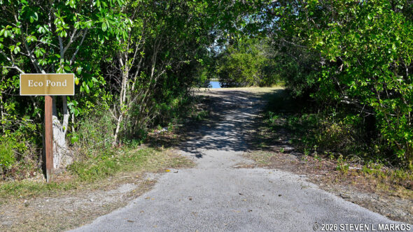 Start of the Eco Pond Trail in Flamingo unit of Everglades National Park